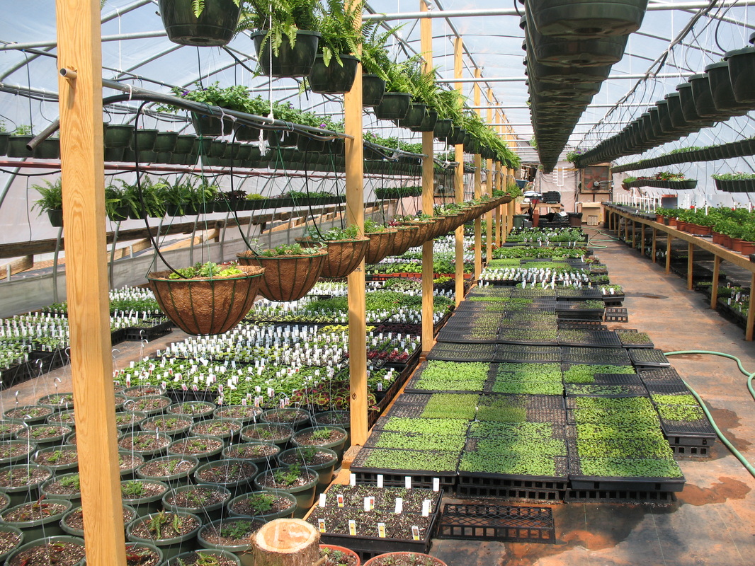 About - Tri-City Greenhouse